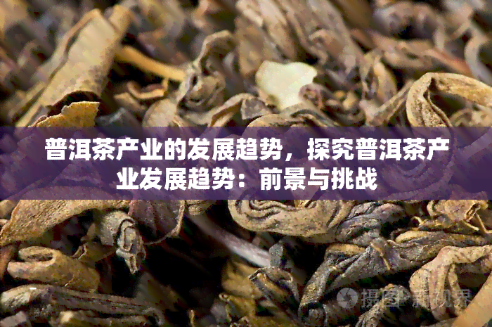 普洱茶产业的发展趋势，探究普洱茶产业发展趋势：前景与挑战