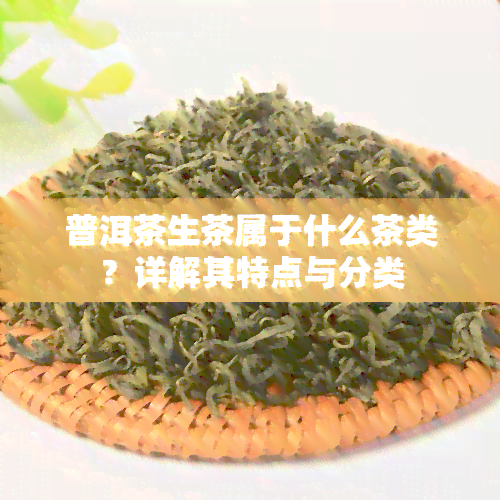 普洱茶生茶属于什么茶类？详解其特点与分类