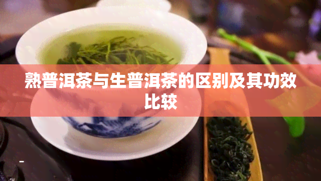 熟普洱茶与生普洱茶的区别及其功效比较