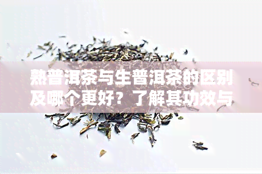 熟普洱茶与生普洱茶的区别及哪个更好？了解其功效与作用