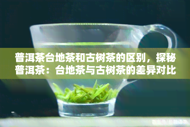 普洱茶台地茶和古树茶的区别，探秘普洱茶：台地茶与古树茶的差异对比