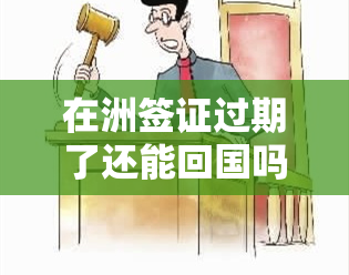 在洲签证过期了还能回国吗，洲签证过期后，是否能够返回本国？