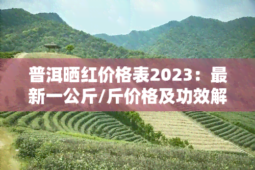 普洱晒红价格表2023：最新一公斤/斤价格及功效解析