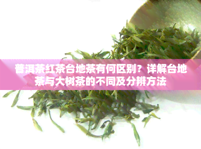 普洱茶红茶台地茶有何区别？详解台地茶与大树茶的不同及分辨方法