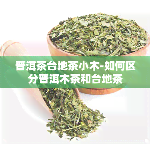 普洱茶台地茶小木-如何区分普洱木茶和台地茶