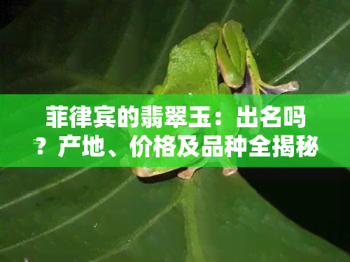 菲律宾的翡翠玉：出名吗？产地、价格及品种全揭秘！