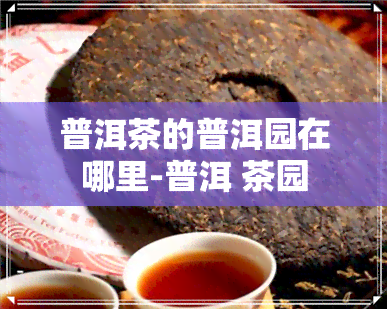 普洱茶的普洱园在哪里-普洱 茶园