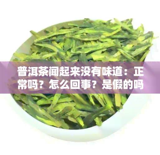 普洱茶闻起来没有味道：正常吗？怎么回事？是假的吗？