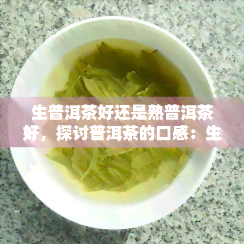 生普洱茶好还是熟普洱茶好，探讨普洱茶的口感：生普洱与熟普洱，哪种更好？