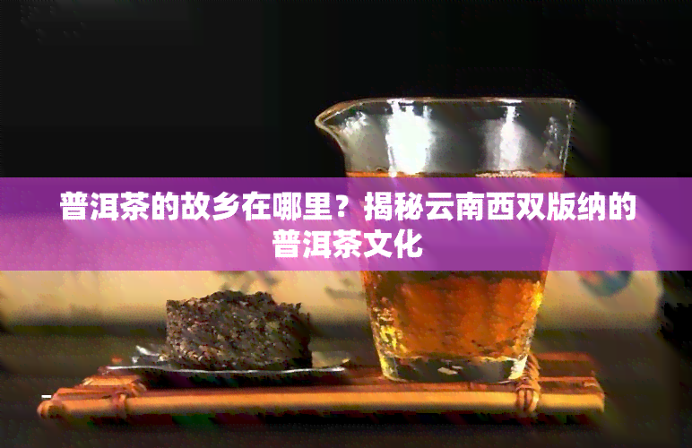 普洱茶的故乡在哪里？揭秘云南西双版纳的普洱茶文化