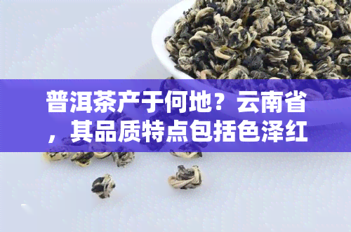 普洱茶产于何地？云南省，其品质特点包括色泽红褐、口感醇厚，常饮有助于降脂减肥、抗氧化等。