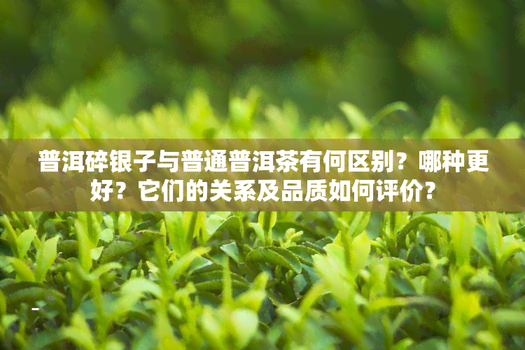 普洱碎银子与普通普洱茶有何区别？哪种更好？它们的关系及品质如何评价？