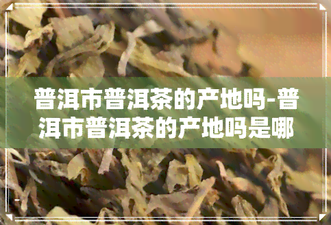 普洱市普洱茶的产地吗-普洱市普洱茶的产地吗是哪里