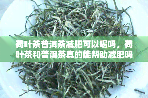 荷叶茶普洱茶减肥可以喝吗，荷叶茶和普洱茶真的能帮助减肥吗？