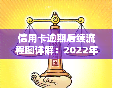 信用卡逾期后续流程图详解：2022年全攻略及自救办法