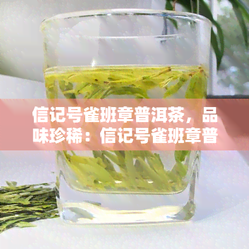 信记号雀班章普洱茶，品味珍稀：信记号雀班章普洱茶的魅力探索