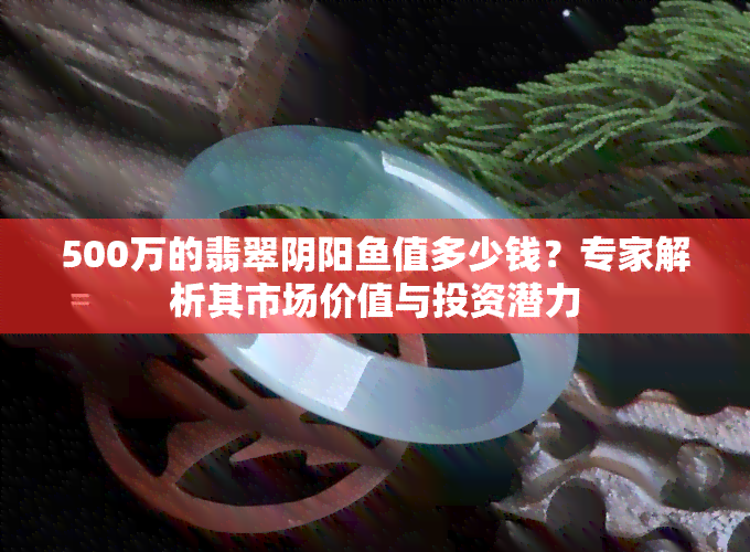 500万的翡翠阴阳值多少钱？专家解析其市场价值与投资潜力