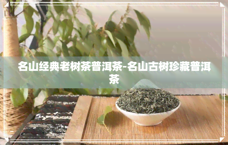 名山经典老树茶普洱茶-名山古树珍藏普洱茶