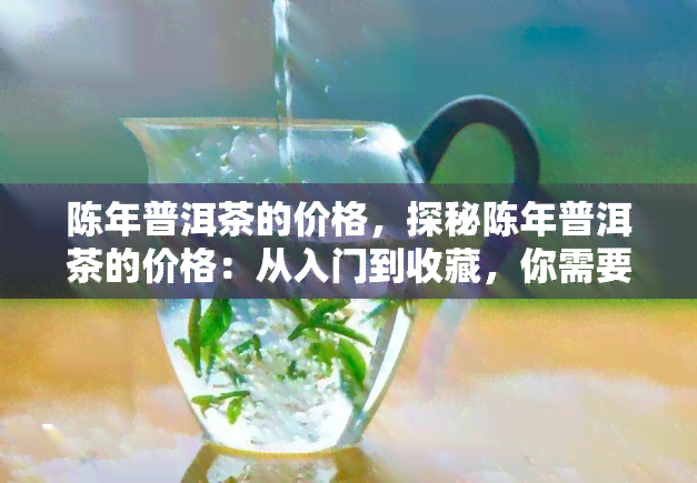 陈年普洱茶的价格，探秘陈年普洱茶的价格：从入门到收藏，你需要知道的一切