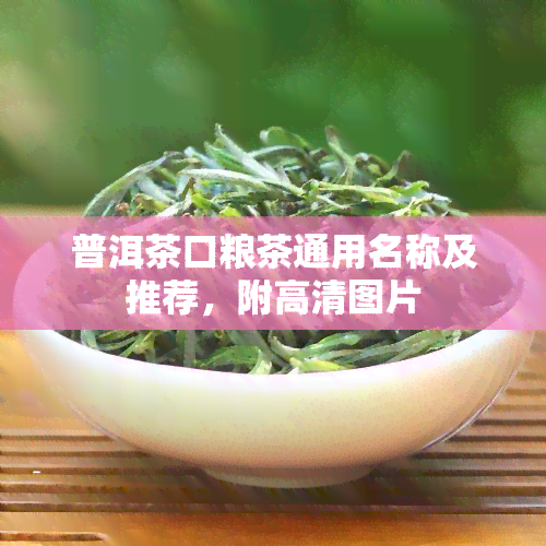 普洱茶口粮茶通用名称及推荐，附高清图片