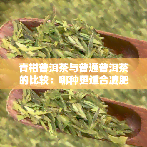 青柑普洱茶与普通普洱茶的比较：哪种更适合减肥？