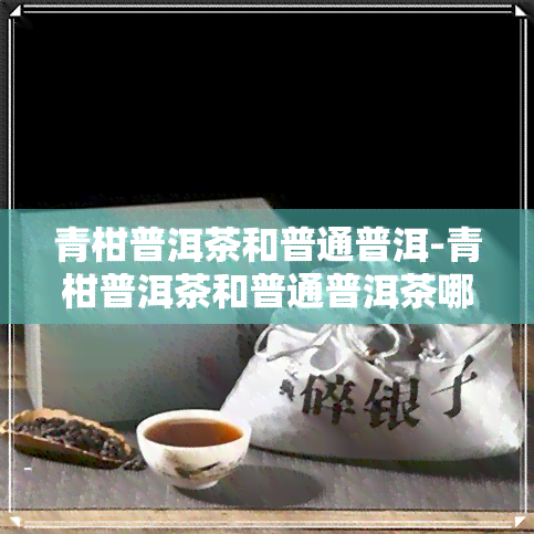 青柑普洱茶和普通普洱-青柑普洱茶和普通普洱茶哪个好