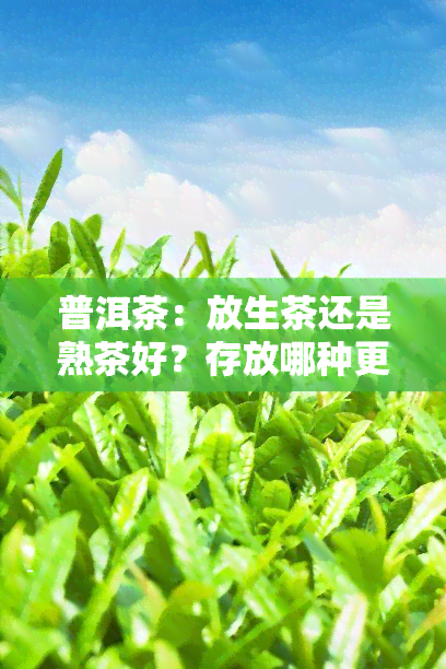 普洱茶：放生茶还是熟茶好？存放哪种更好？