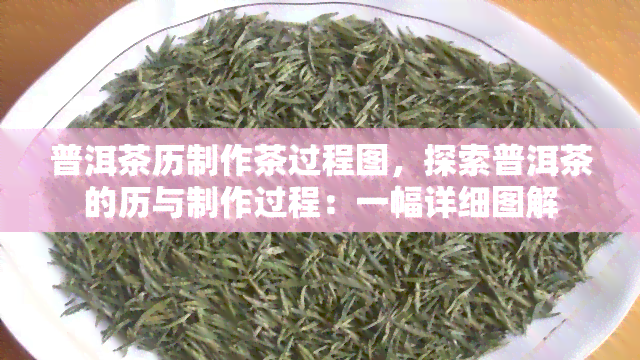 普洱茶历制作茶过程图，探索普洱茶的历与制作过程：一幅详细图解