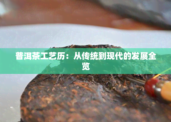 普洱茶工艺历：从传统到现代的发展全览