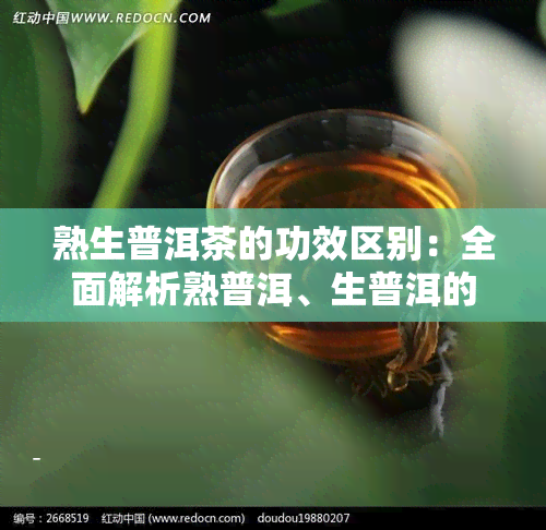 熟生普洱茶的功效区别：全面解析熟普洱、生普洱的功效与作用、禁忌与区别