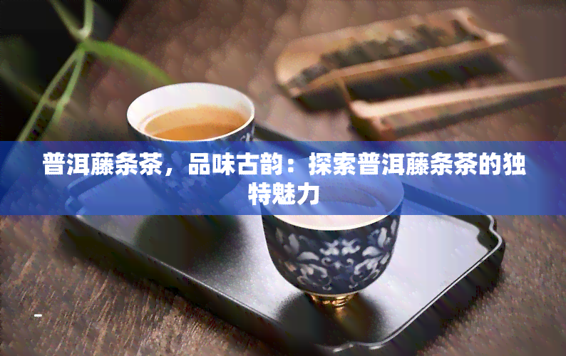 普洱藤条茶，品味古韵：探索普洱藤条茶的独特魅力