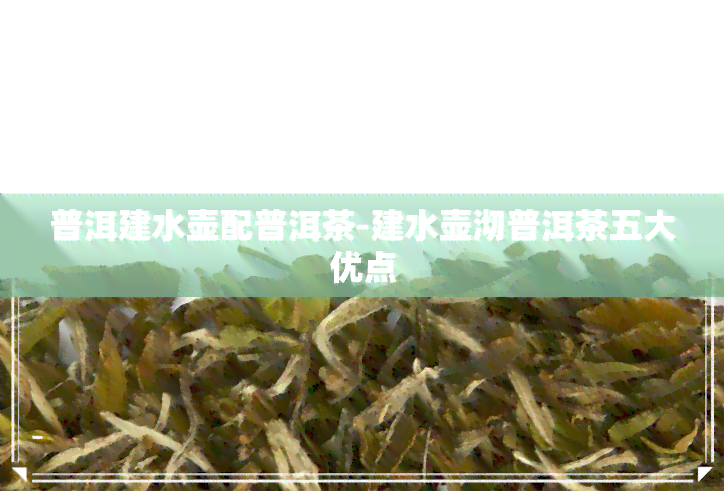 普洱建水壶配普洱茶-建水壶沏普洱茶五大优点