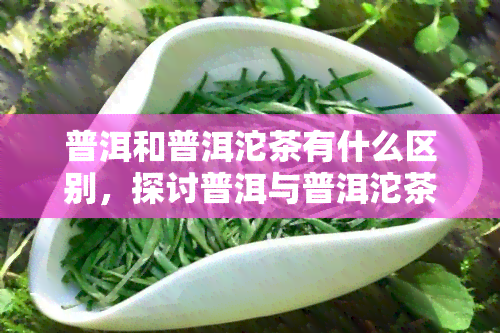 普洱和普洱沱茶有什么区别，探讨普洱与普洱沱茶的不同之处