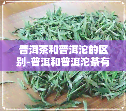 普洱茶和普洱沱的区别-普洱和普洱沱茶有什么区别