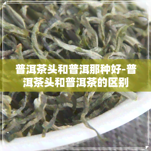 普洱茶头和普洱那种好-普洱茶头和普洱茶的区别