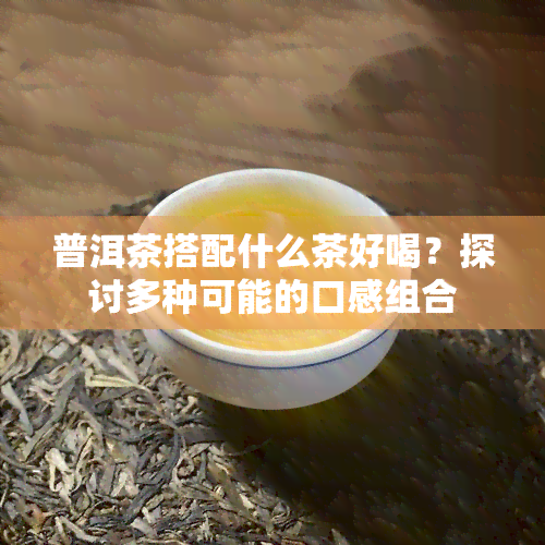 普洱茶搭配什么茶好喝？探讨多种可能的口感组合