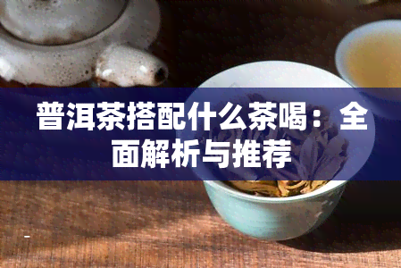 普洱茶搭配什么茶喝：全面解析与推荐