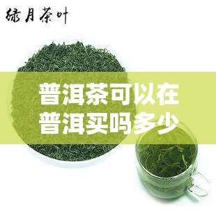 普洱茶可以在普洱买吗多少钱，在普洱哪里可以买到普洱茶？价格是多少？