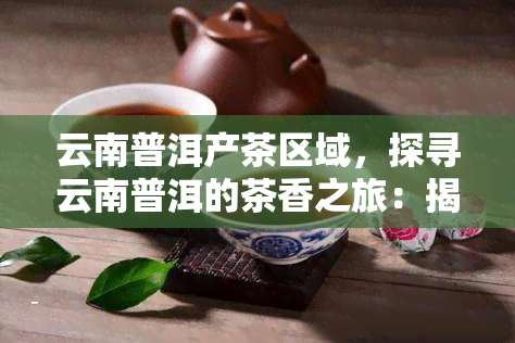 云南普洱产茶区域，探寻云南普洱的茶香之旅：揭秘产茶区域的魅力