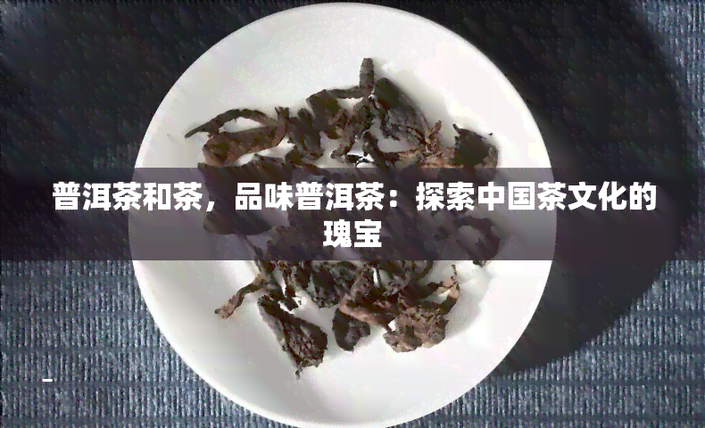 普洱茶和茶，品味普洱茶：探索中国茶文化的瑰宝