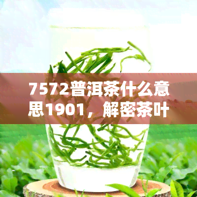 7572普洱茶什么意思1901，解密茶叶暗号：'7572普洱茶什么意思1901'