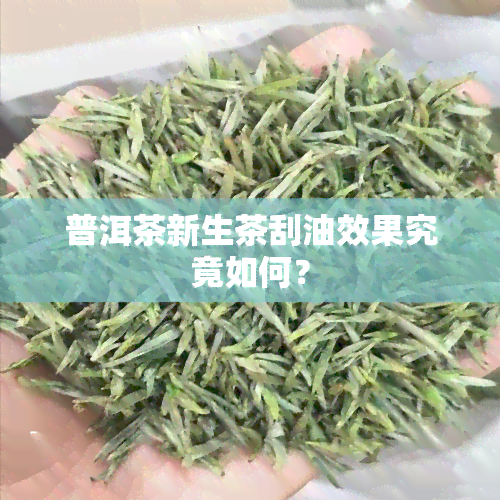 普洱茶新生茶刮油效果究竟如何？