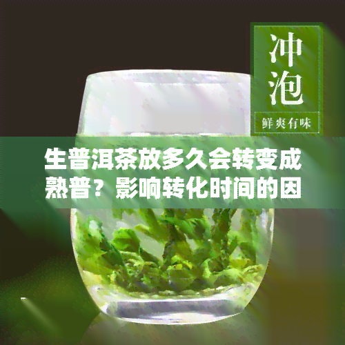 生普洱茶放多久会转变成熟普？影响转化时间的因素是什么？