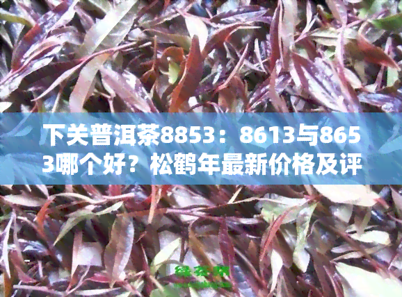 下关普洱茶8853：8613与8653哪个好？松鹤年最新价格及评价，值得收藏的几款及高端系列，官网报价一览