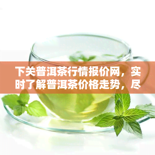 下关普洱茶行情报价网，实时了解普洱茶价格走势，尽在下关普洱茶行情报价网！