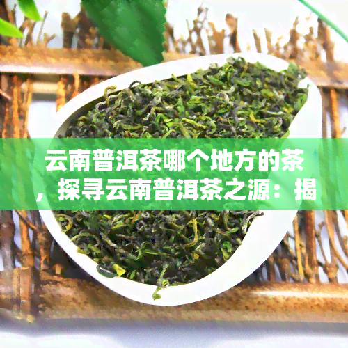 云南普洱茶哪个地方的茶，探寻云南普洱茶之源：揭秘哪个地方的茶更优质？