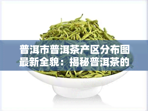 普洱市普洱茶产区分布图最新全貌：揭秘普洱茶的主要产地与分布情况