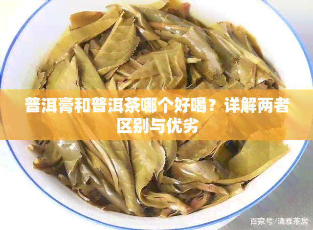 普洱膏和普洱茶哪个好喝？详解两者区别与优劣