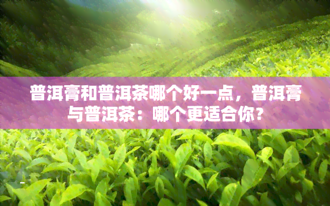 普洱膏和普洱茶哪个好一点，普洱膏与普洱茶：哪个更适合你？