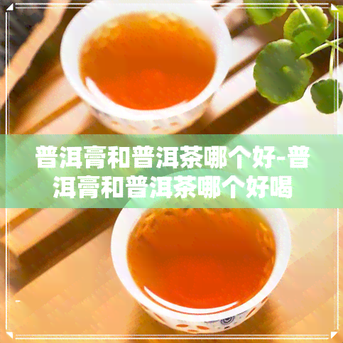 普洱膏和普洱茶哪个好-普洱膏和普洱茶哪个好喝